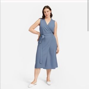 Everlane Japanese Go Weave Wrap Dress